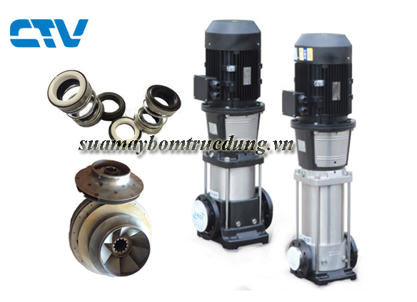 Sửa máy bơm trục đứng LEO