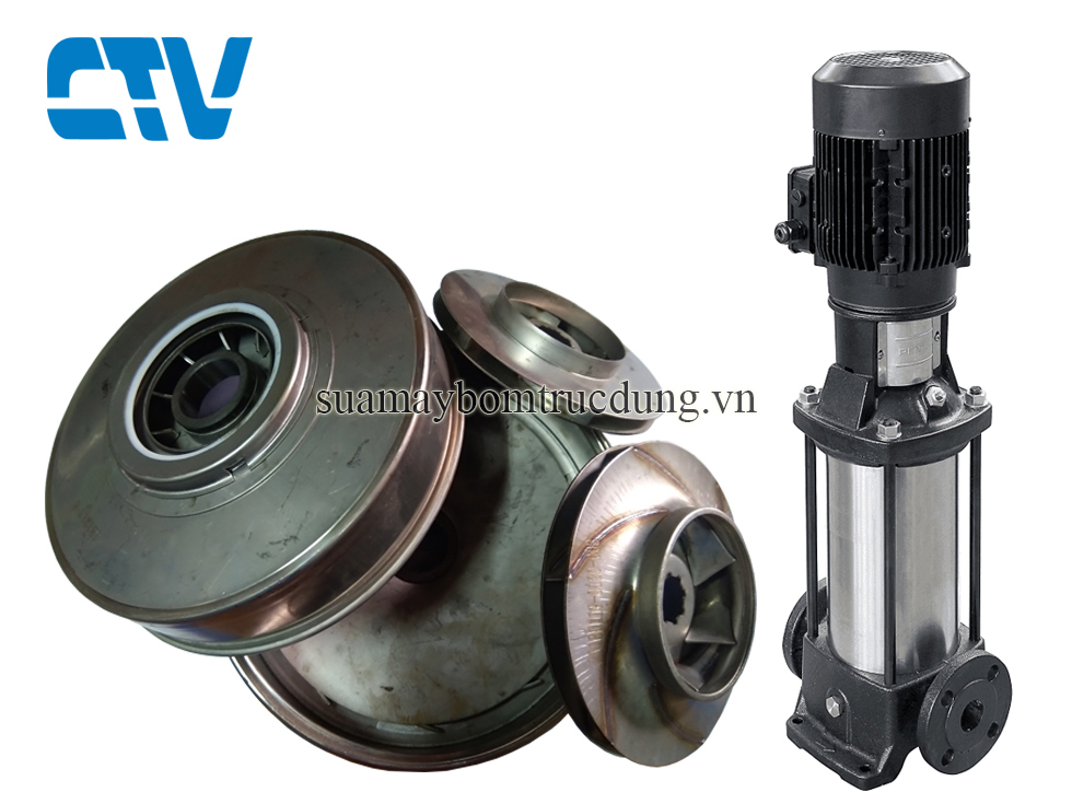 Ruột máy bơm trục đứng Ebara EVMSG15 12F5