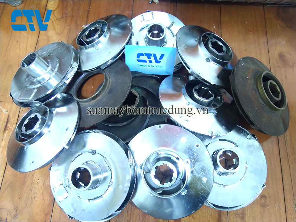 Địa chỉ cung cấp cánh máy bơm trục đứng Saer uy tín, chất lượng