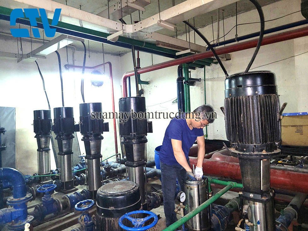 Sửa chữa máy bơm trục đứng Paragon lưu lượng, cột áp không đạt yêu cầu
