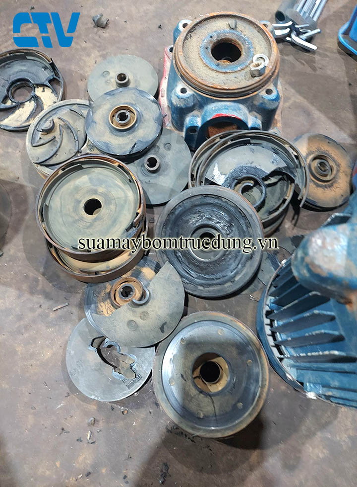 Cường Thịnh Vương sửa chữa thay bộ ruột buồng cánh máy bơm trục đứng Sealand chuyên nghiệp